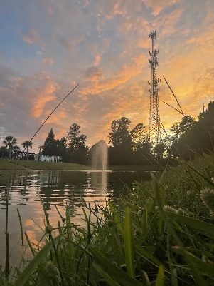 Sunset over a lake with tall grass in front