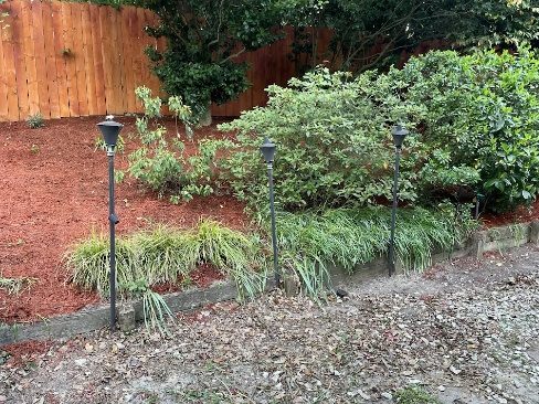 A garden bed with shrubs and no mulch