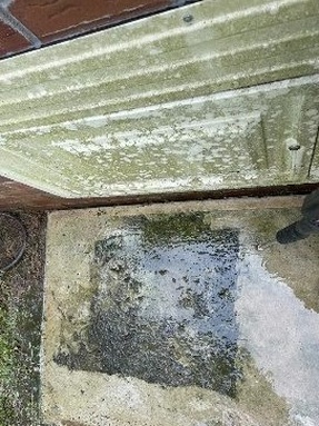Before: algae-covered door and grimy concrete step before washing