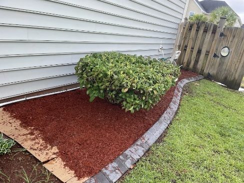 A fresh red mulch bed by house siding with a clean edge