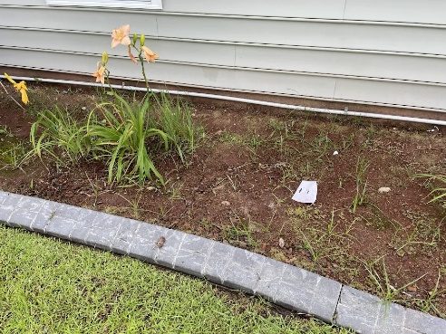 A mulched bed with stone edging and flowers
