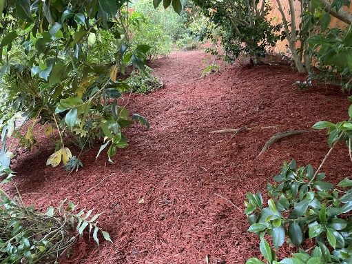 A long mulched bed along a fence